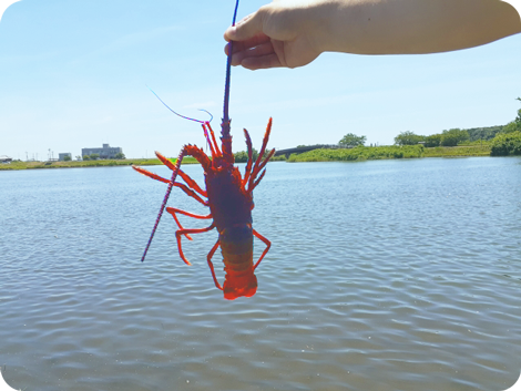 伊勢海老釣り